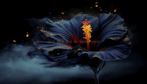 Blooming in Broken Light